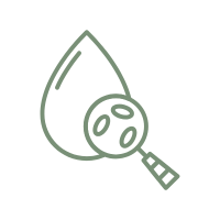 Sem nome (200 x 200 px)-11