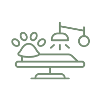 Sem nome (200 x 200 px)-5