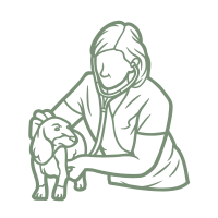 Sem nome (200 x 200 px)-9